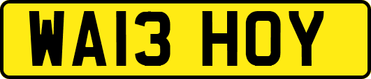 WA13HOY