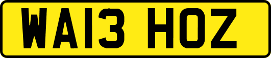 WA13HOZ