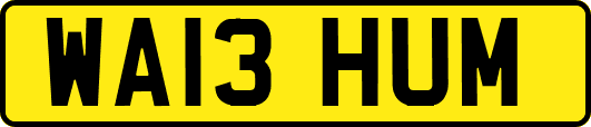 WA13HUM