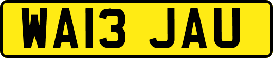 WA13JAU