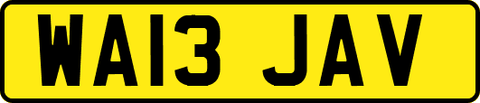 WA13JAV