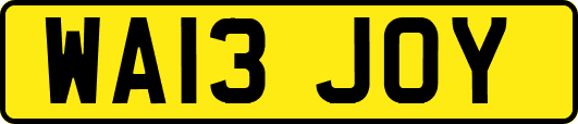 WA13JOY