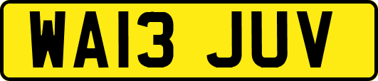 WA13JUV