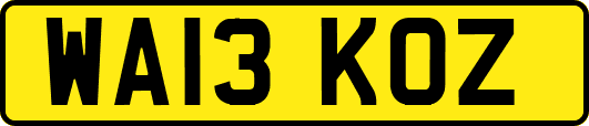 WA13KOZ