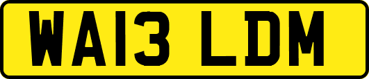 WA13LDM