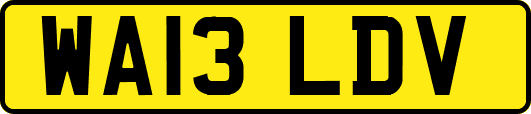 WA13LDV
