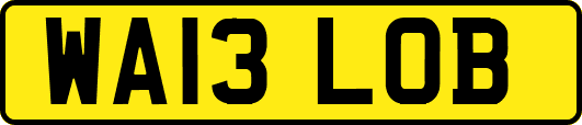 WA13LOB