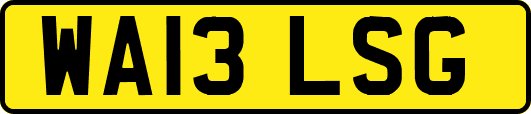 WA13LSG
