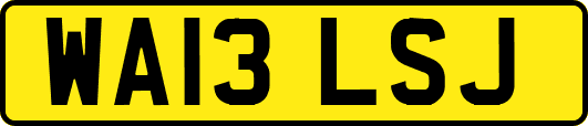 WA13LSJ