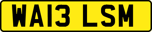 WA13LSM