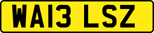 WA13LSZ