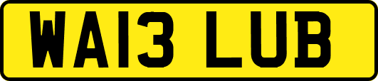 WA13LUB