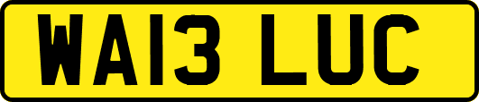 WA13LUC