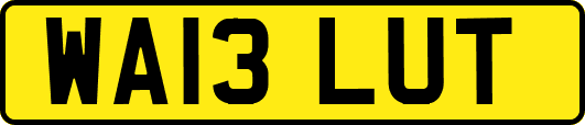 WA13LUT
