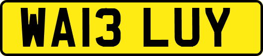 WA13LUY