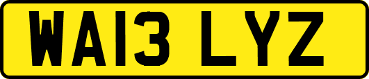 WA13LYZ