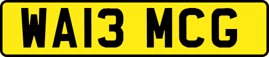 WA13MCG
