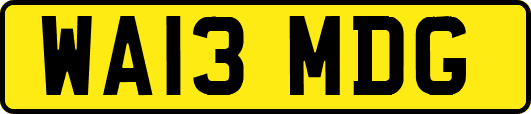 WA13MDG