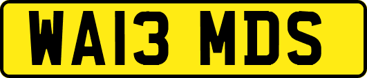 WA13MDS