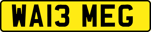 WA13MEG