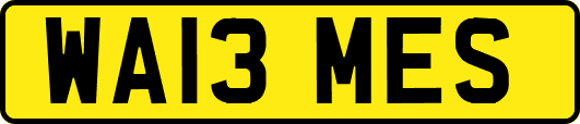 WA13MES