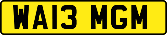 WA13MGM
