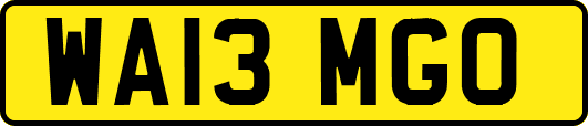 WA13MGO