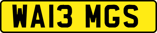 WA13MGS