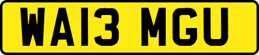 WA13MGU