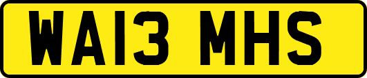 WA13MHS