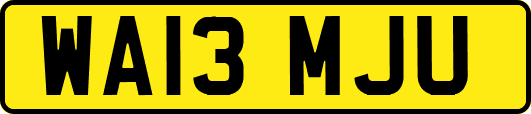 WA13MJU