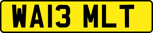 WA13MLT