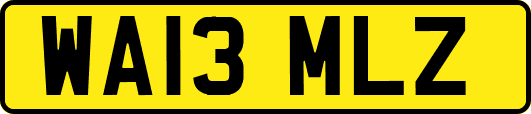 WA13MLZ
