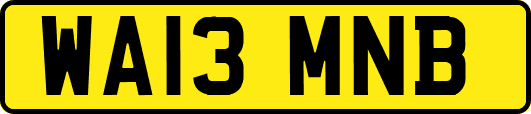 WA13MNB