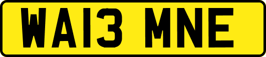 WA13MNE