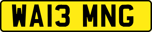 WA13MNG
