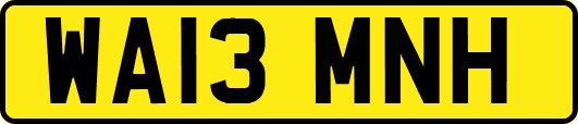 WA13MNH