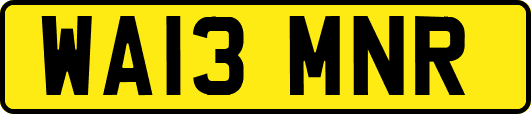 WA13MNR