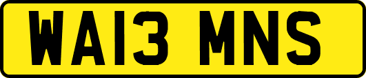 WA13MNS