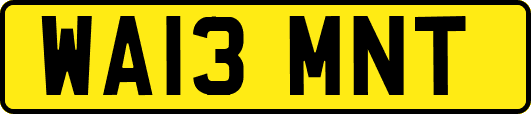 WA13MNT