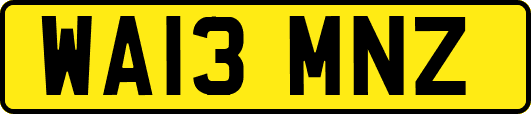WA13MNZ