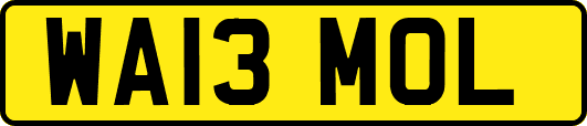 WA13MOL