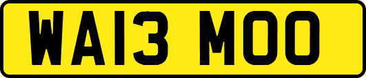 WA13MOO