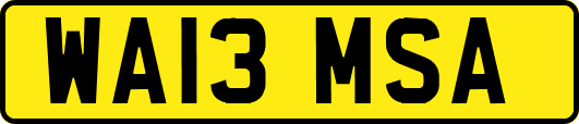 WA13MSA