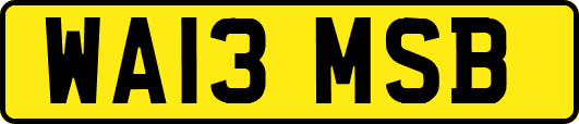 WA13MSB
