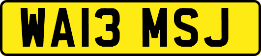WA13MSJ