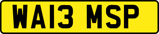 WA13MSP