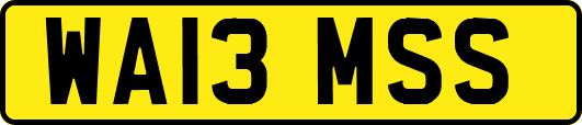 WA13MSS