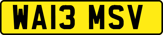 WA13MSV