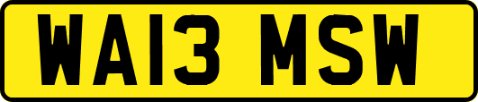 WA13MSW